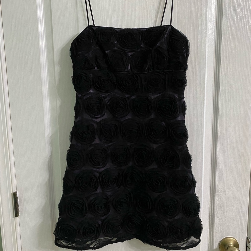 Democracy Party/Prom dress size 6.